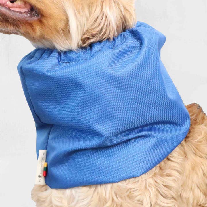 Vandtæt hundehætte | Blå for engroshandel hos Distinguish Me