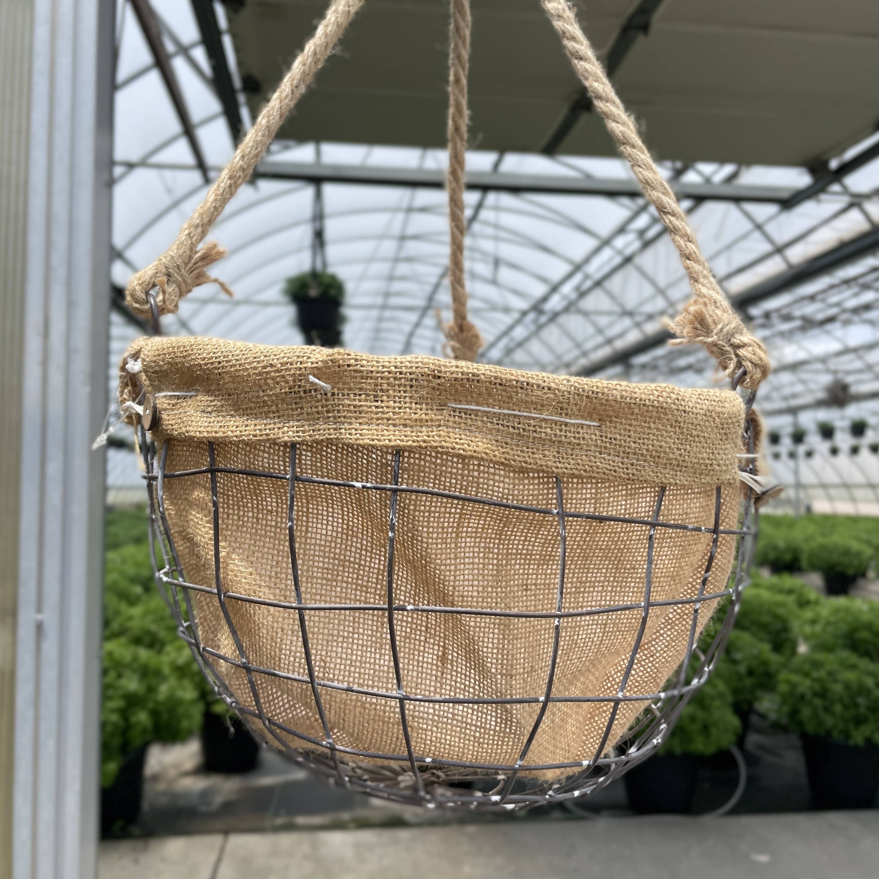 Thorsen's Greenhouse - Wholesale Hanging Planter - Burlap Hanging Basket - 11" Diameter2