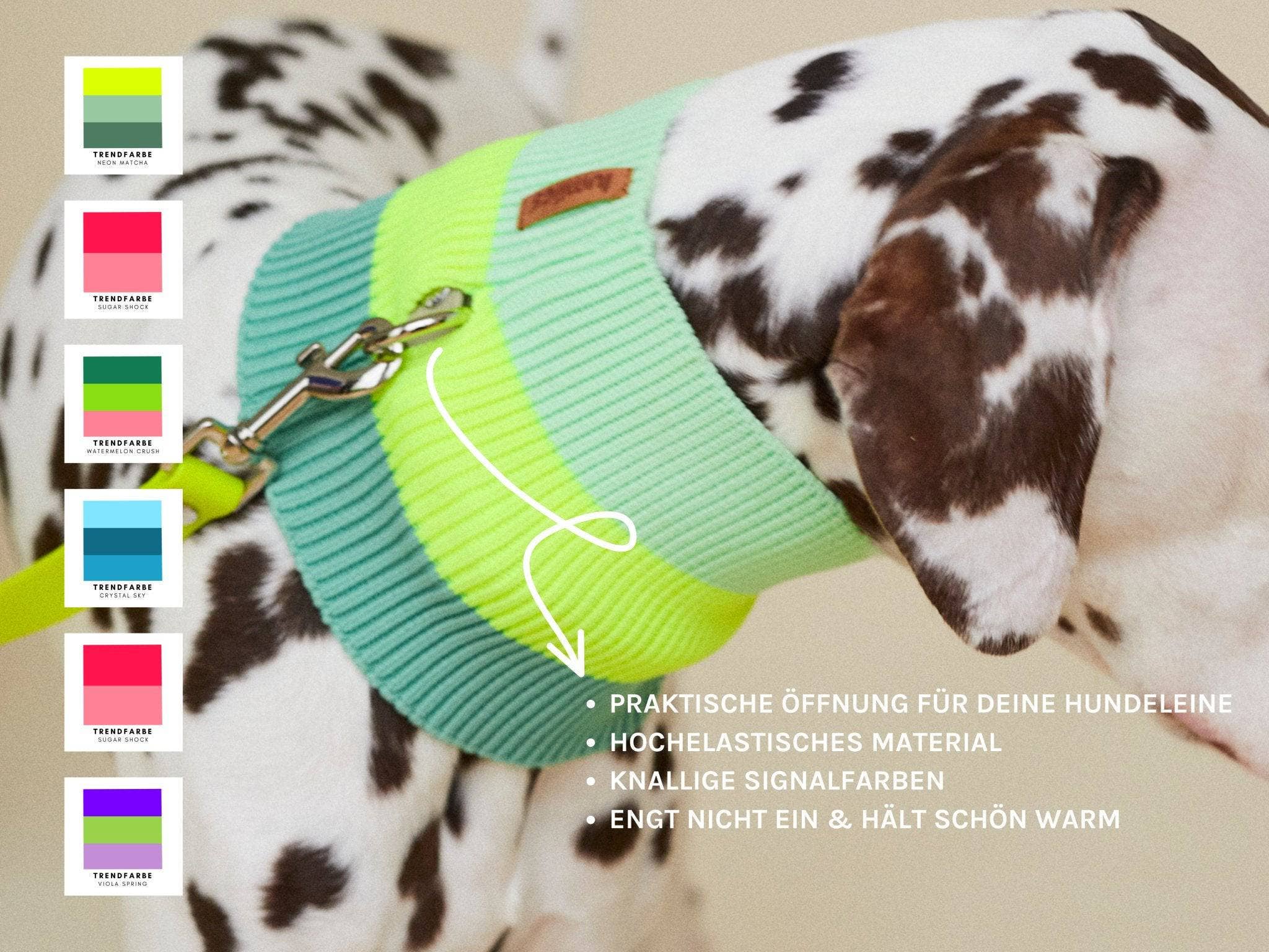 VIOLA SPRING THE GLOW LOOP (violet) for wholesale on Faire2