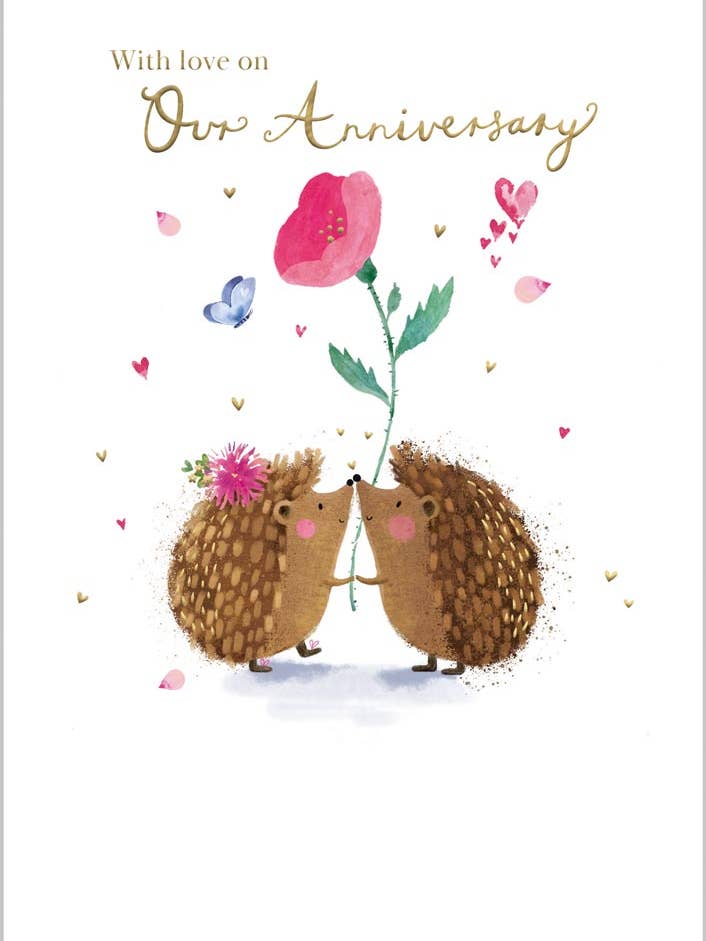 O nosso aniversário de adoráveis ouriços por atacado de Abacus Cards and Clare Maddicott Publications