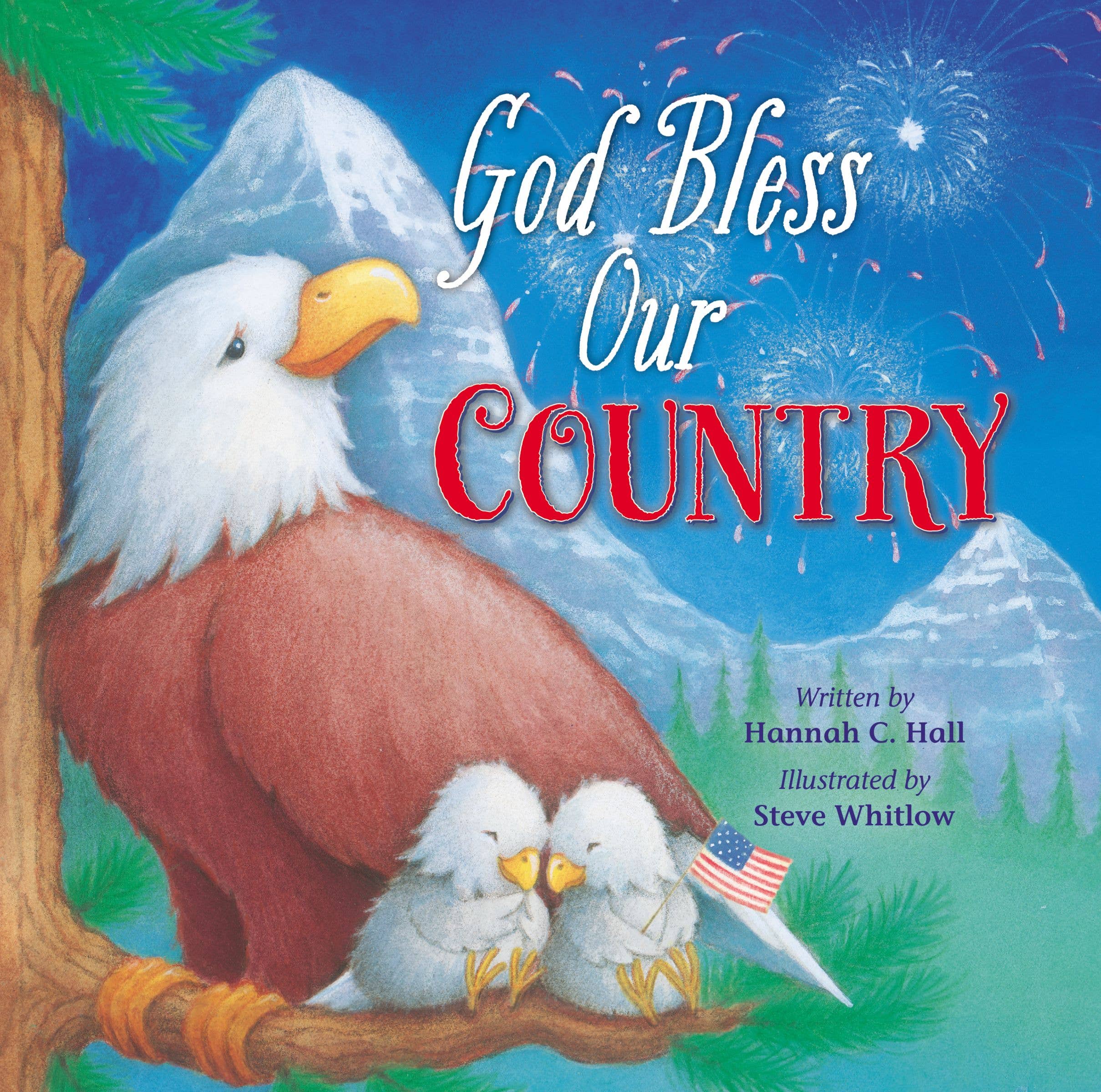 HarperCollins Christian Publishing - Wholesale Baby & Toddler Book (0-2) - God Bless Our Country1