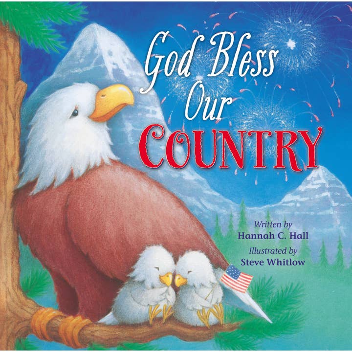 HarperCollins Christian Publishing - Wholesale Baby & Toddler Book (0-2) - God Bless Our Country1