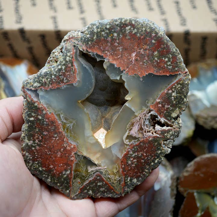 Tarif forfaitaire pour œuf de tonnerre poli - Variété Lucky Strike Priday - Oregon pour la vente par Lapidary Central