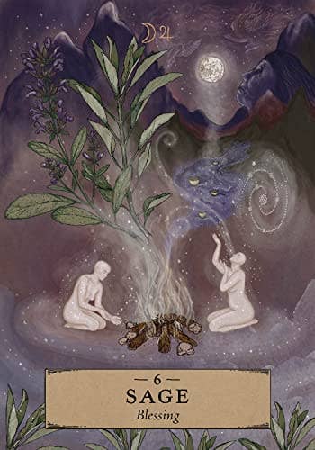 Cardshouse - Wholesale Tarot Cards - Herbal Astrology Oracle Cards Hay House1