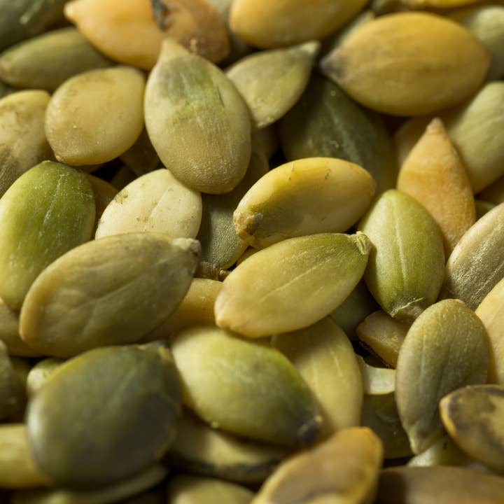 Pumpkin Seeds, Sprouted, Organic, 5 lb bulk for wholesale by Lark Ellen Farm