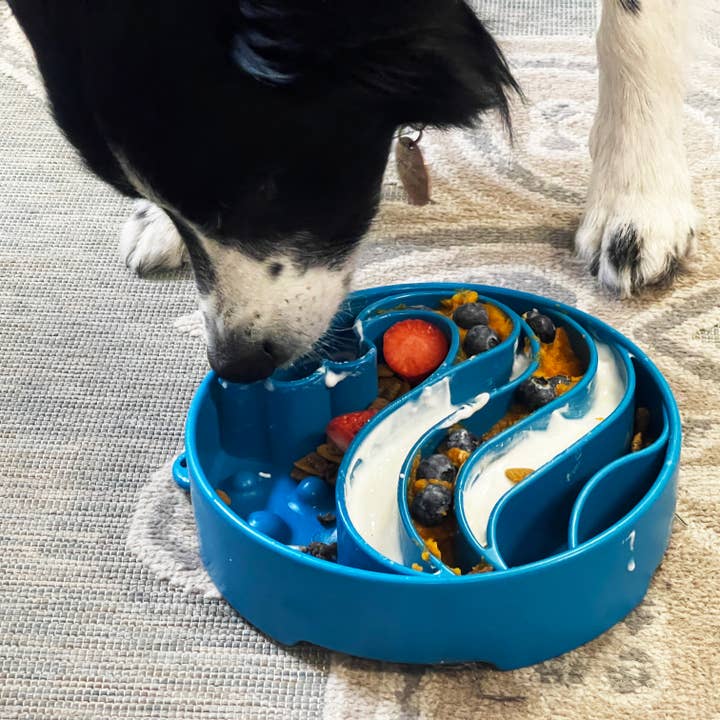 SodaPup Dog Toys - Wholesale Pet Bowl - Cat/Dog - Wave Design eBowl Enrichment Slow Feeder Bowl for Dogs