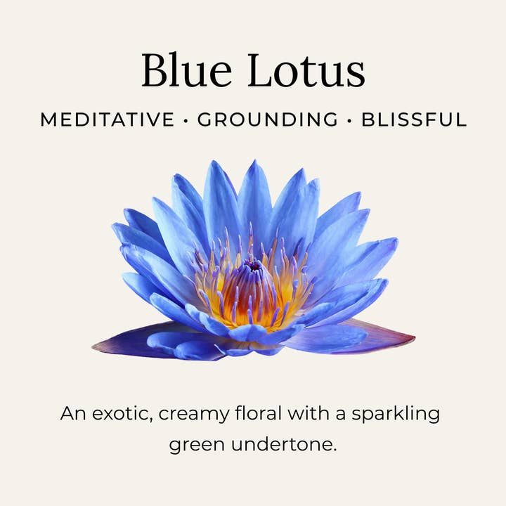 Little Seed Farm - Wholesale Deodorant - Women's - Blue Lotus Deodorant Cream