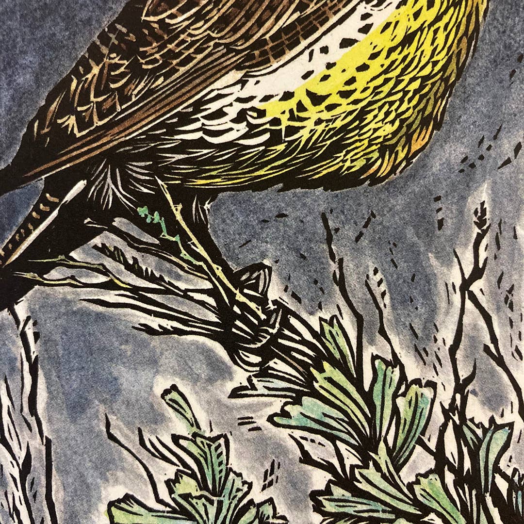 Claire Emery Art - Vente Assortiments de papeterie/cartes - Carte Meadowlark2