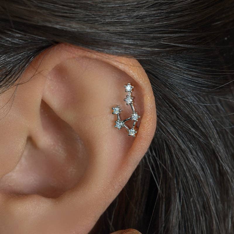 StockJWL - Wholesale Stud/Post Earrings - 12 Zodiac Earrings, Constellation Stud Earring Stud Piercing Tragus Helix Lobe and Cartilage Silver And Gold42