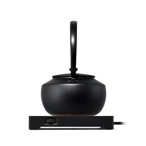 BALMUDA - Wholesale Electric Kettle - MoonKettle Electric Kettle with Temp Control 122°F - 212°F1