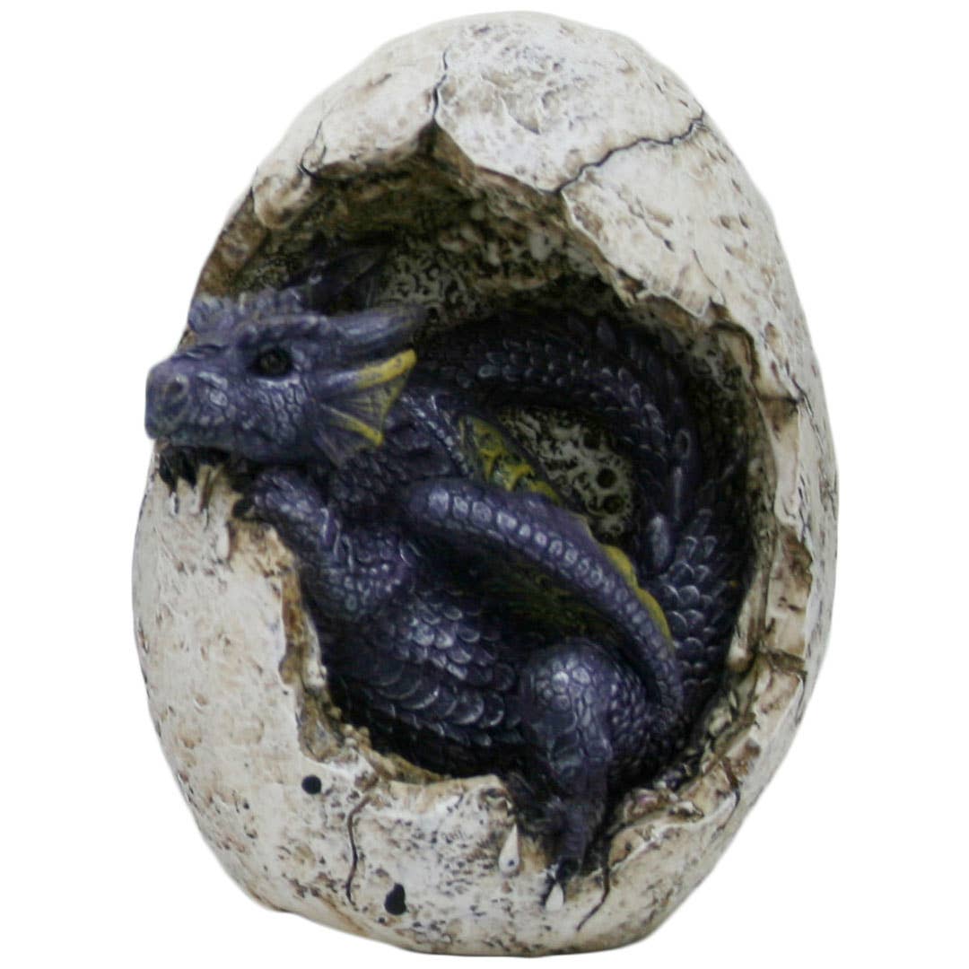 Pacific Trading - Wholesale Decorative Figurine - Dragon Hatchling in Egg0