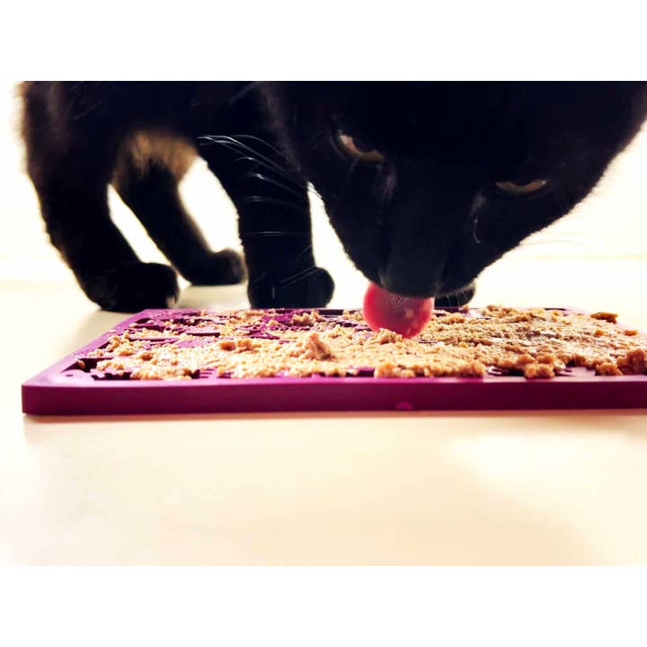 SodaPup Dog Toys - Wholesale Pet Food Mat - Dog - Fishy Design eMat Enrichment Lick Mat - small5