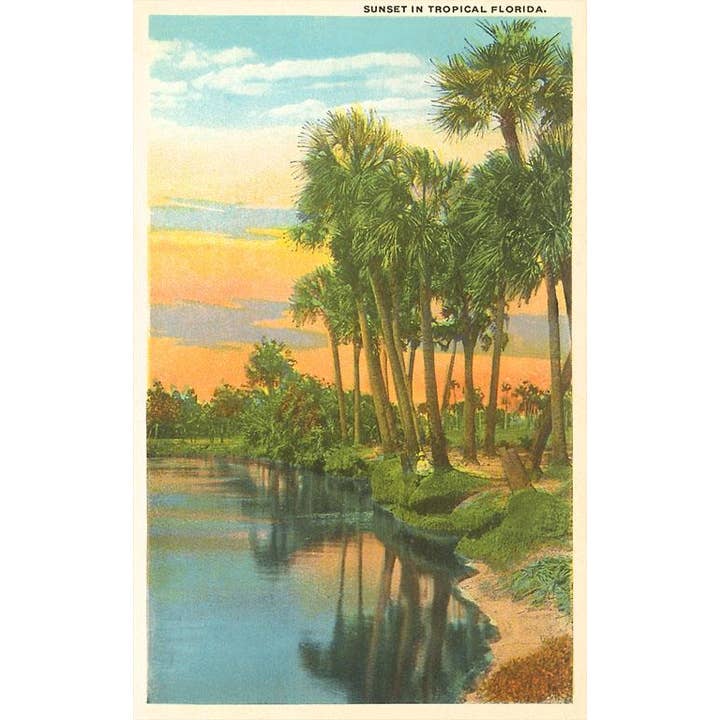 Found Image Press - Venta al por mayor Pegatina - Pegatina FL-118 Atardecer, Palmeras, Florida