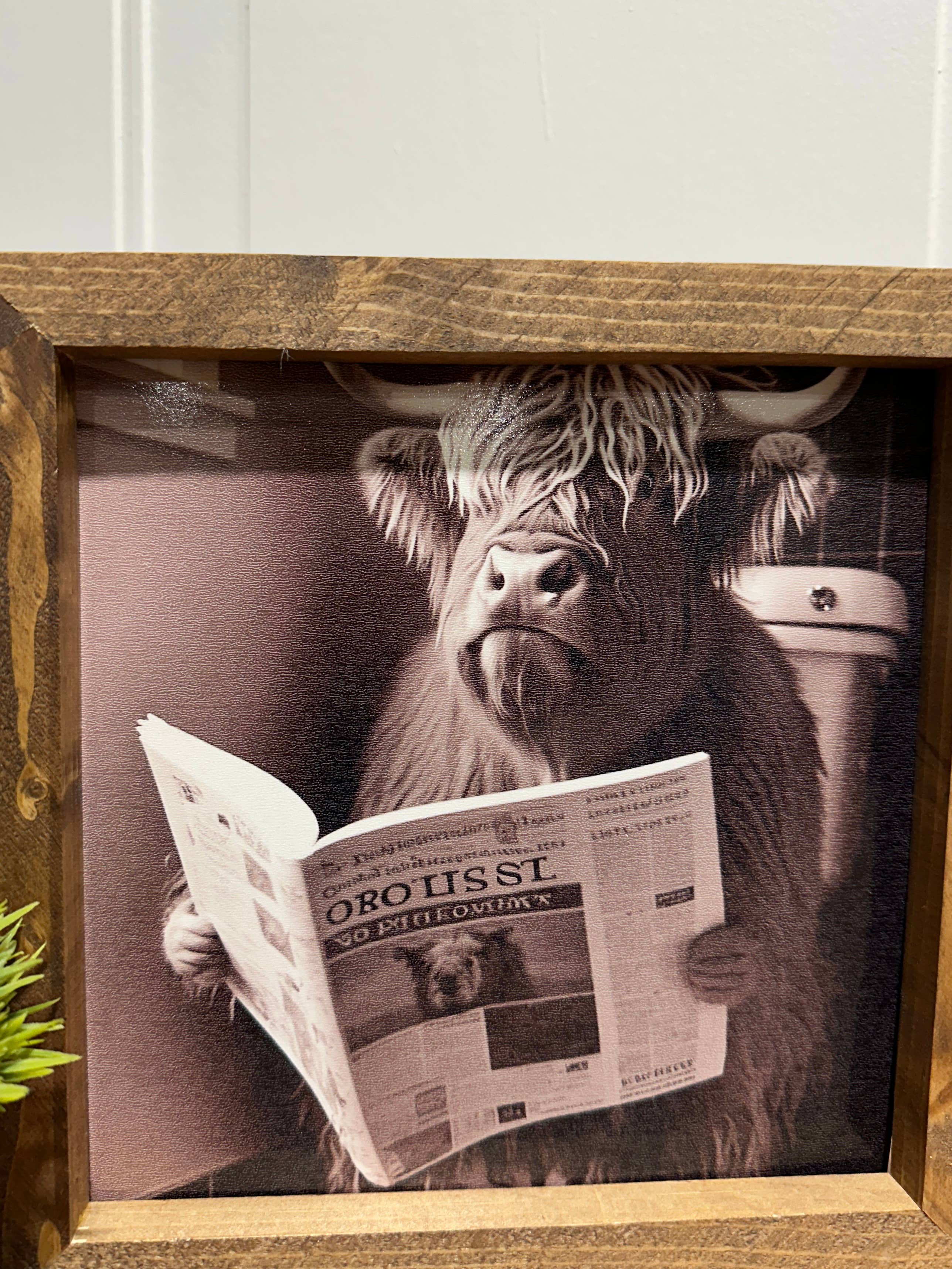 The Broken Board – Großhandel Kunstdruck – Highland-Kuh liest eine Zeitung, Highland-Kuh lustiger Druck2