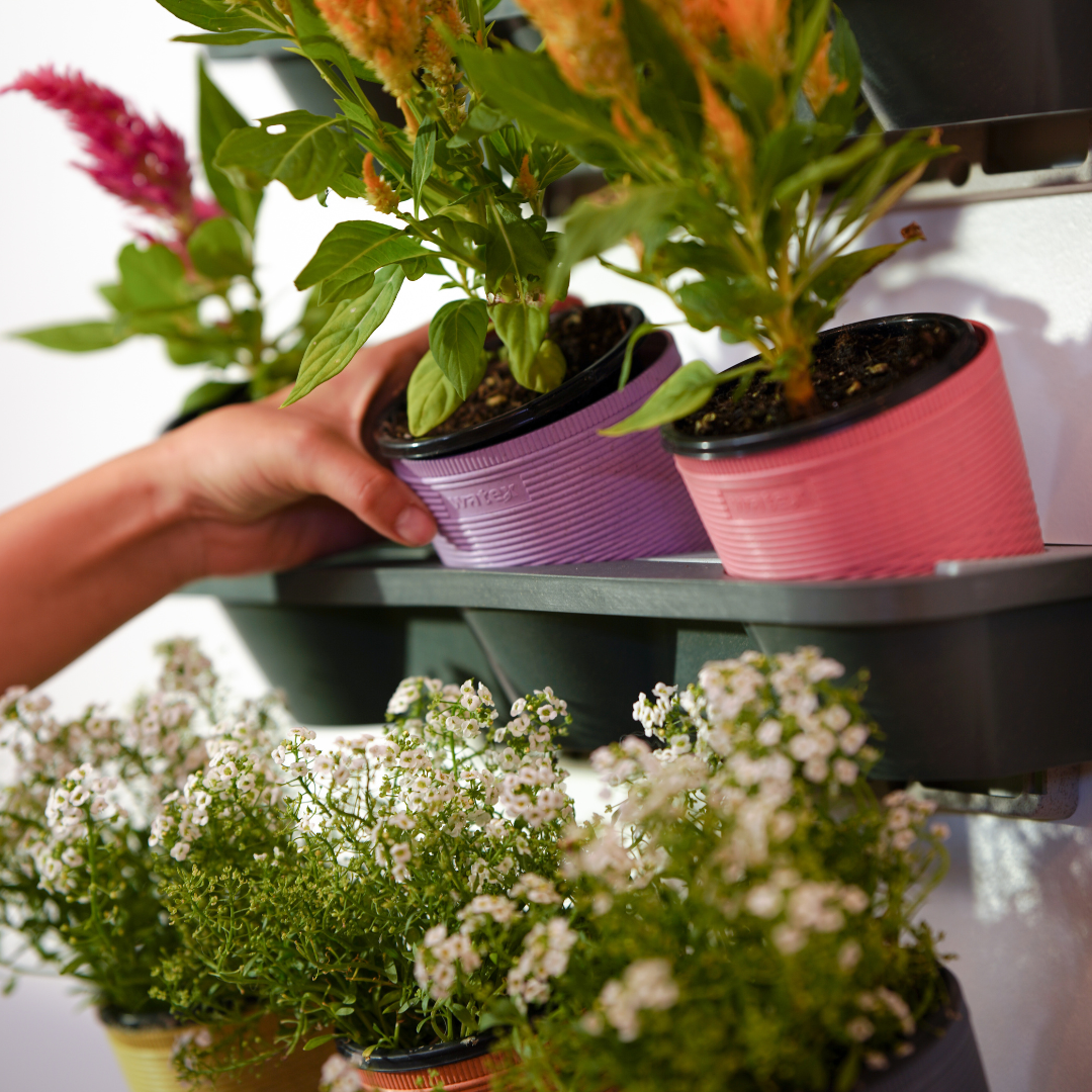 Watex - Wholesale Wall Planter - Watex Wheat Straw Indoor Vertical Garden2