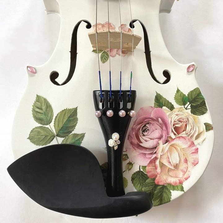 Rozanna's Violin - Vendita all'ingrosso Strumenti musicali - Completo da violino Rose Delight di Rozanna