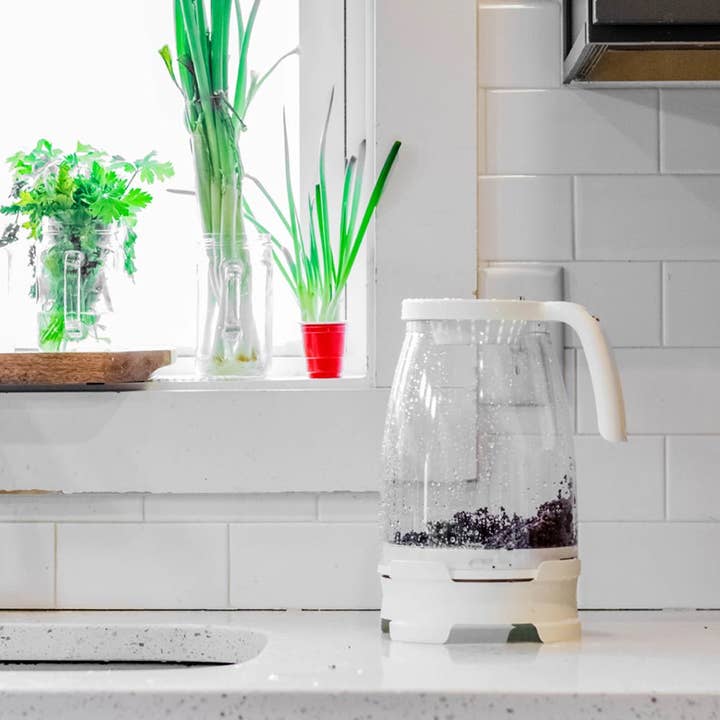 Country Life Natural Foods - Wholesale Plant Seeds - The Sprout Spout4