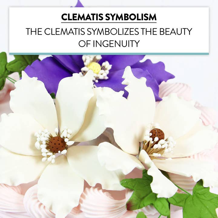 Global Sugar Art - Vendita all'ingrosso Topper per torte/cupcake - Fiori di Clematide in Pasta di Zucchero per Torte di Global Sugar Art, Bianchi, Confezione da 34