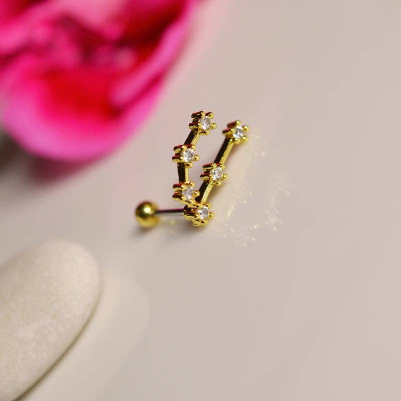 StockJWL - Wholesale Stud/Post Earrings - 12 Zodiac Earrings, Constellation Stud Earring Stud Piercing Tragus Helix Lobe and Cartilage Silver And Gold56