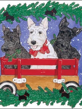 Scottish Terrier Weihnachtskarten, 10er-Pack für den Großhandel von Pipsqueak Productions