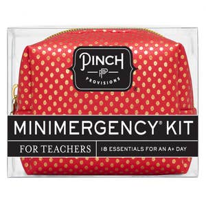 The Teacher Bag - ALL the essentials!!