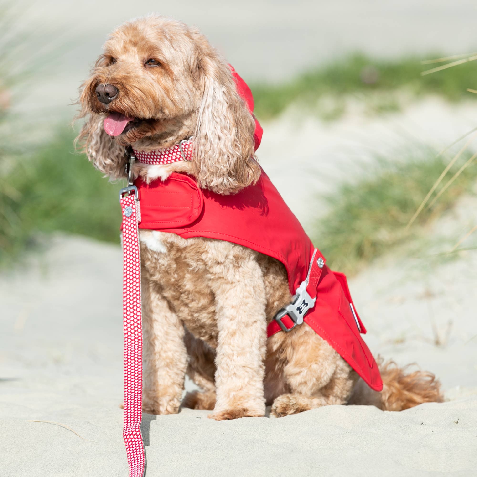 hugo and hudson raincoat