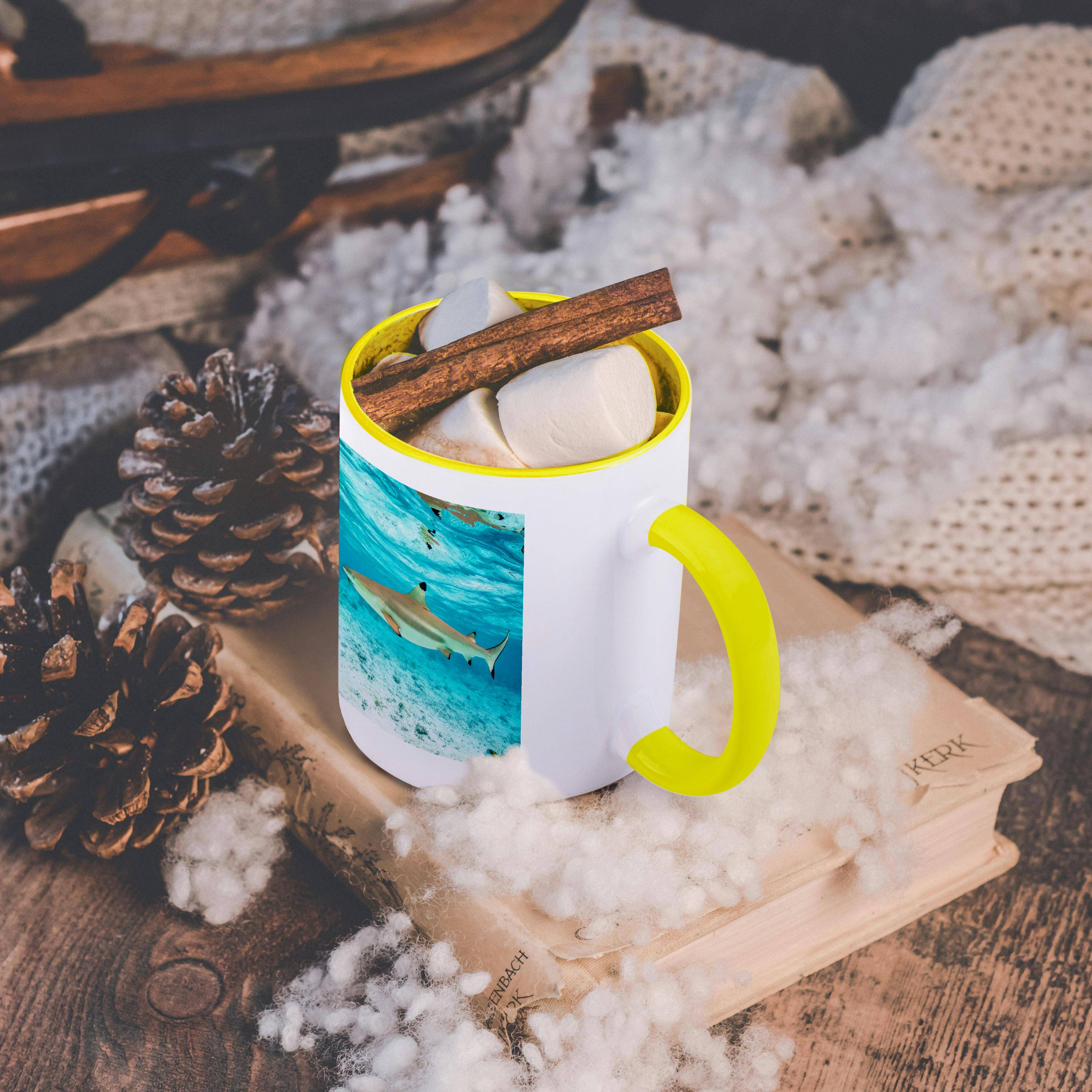 3dRose - Wholesale Coffee Mug - 3dRose, French Polynesia, Bora Bora. Black-tipped reef shark closeup., Mug5