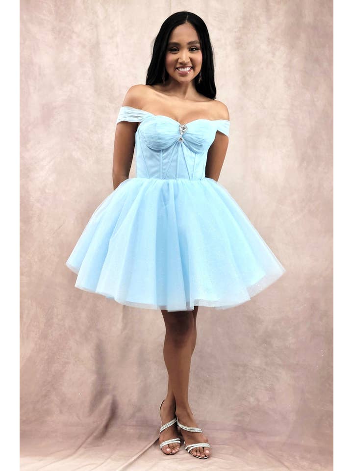 Chicas - Wholesale Dress - Women's - Short Off The Shoulder Tulle Dress With Brooch1