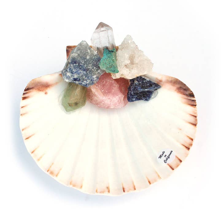Scallop Ring Dish - Rocks & Crystals for wholesale by California Seashell Company