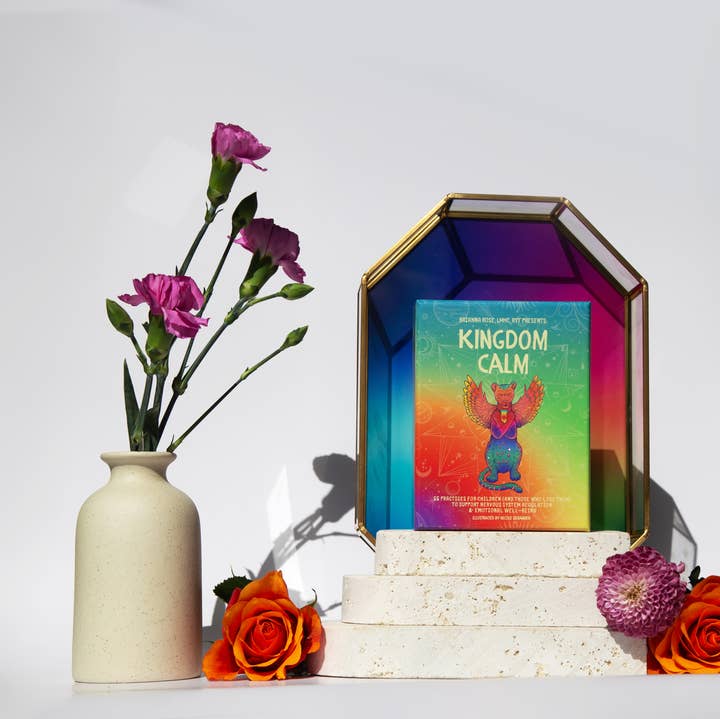 Hack Your Nervous System - Wholesale Learning Cards - Kids & Baby - Children’s Coping Skill Card Deck - Kingdom Calm 2.01