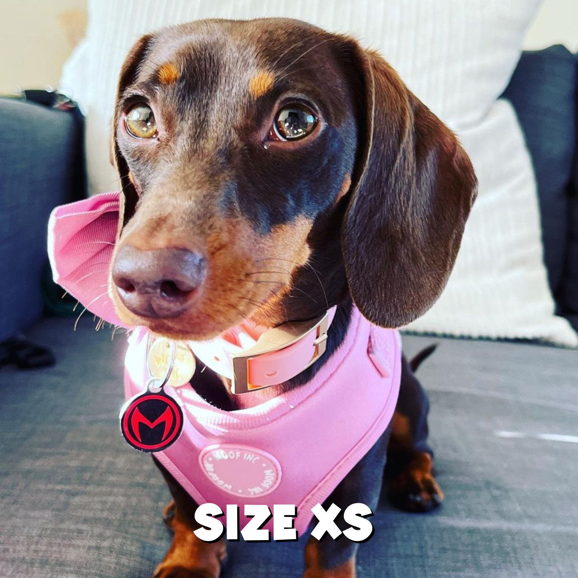 WOOF INC - Wholesale Pet Harness - Dog - Dusty Pink Adjustable Dog Harness9