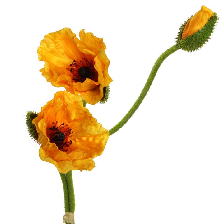 Mohnbund 71 cm x3 gelb für den Großhandel von Floratexx