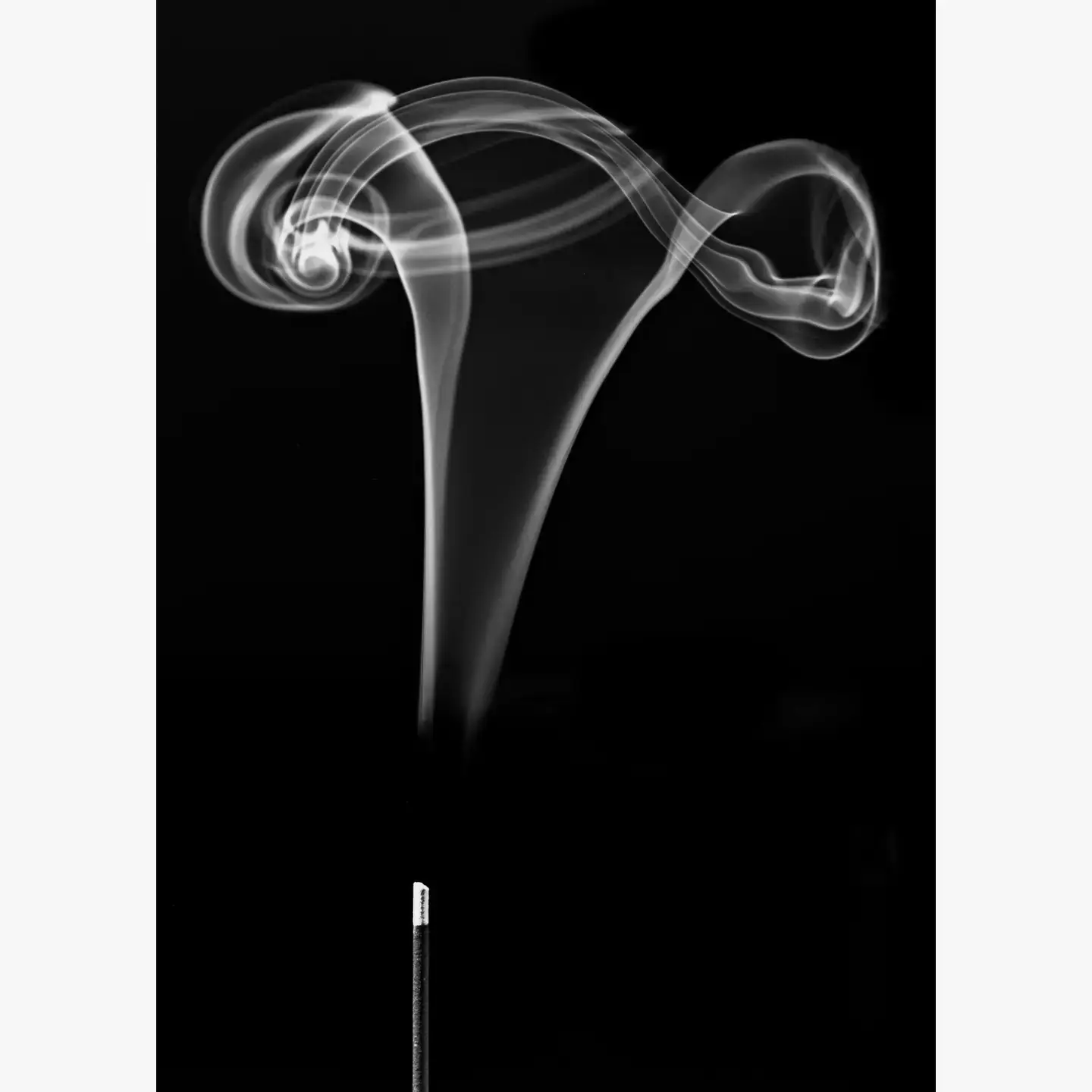 Ceridwen’s - Wholesale Incense - Samhain Incense Sticks - celebrate the season change0