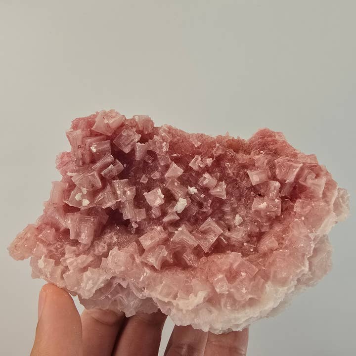 Aquamarine Daydream Wholesale - Wholesale Spiritual Stone/Crystal - 6pc Pink Halite ~ Bulk Mineral Flats ~ Crystal Specimens #136