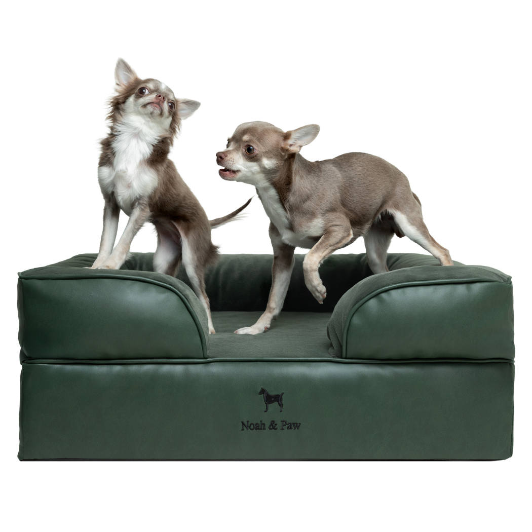 NOAH AND PAW LLC – Großhandel Haustierbett – Katze/Hund – Orthopädisches Hundebett im Sofastil aus Kunstleder mit Memory-Schaum und kühlendem Gel1