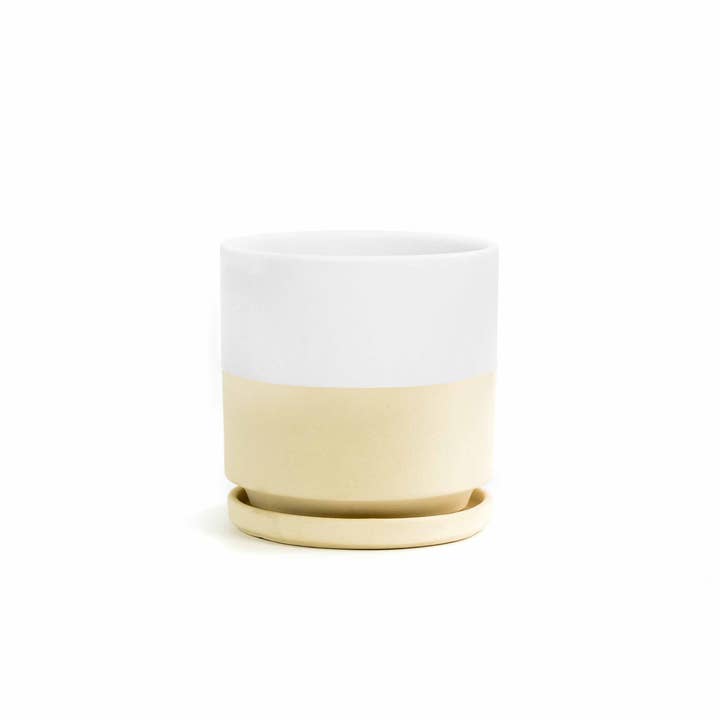 Momma Pots - Wholesale Plant Pot - 4.5" Gemstone Cylinder Pots with Water Saucers