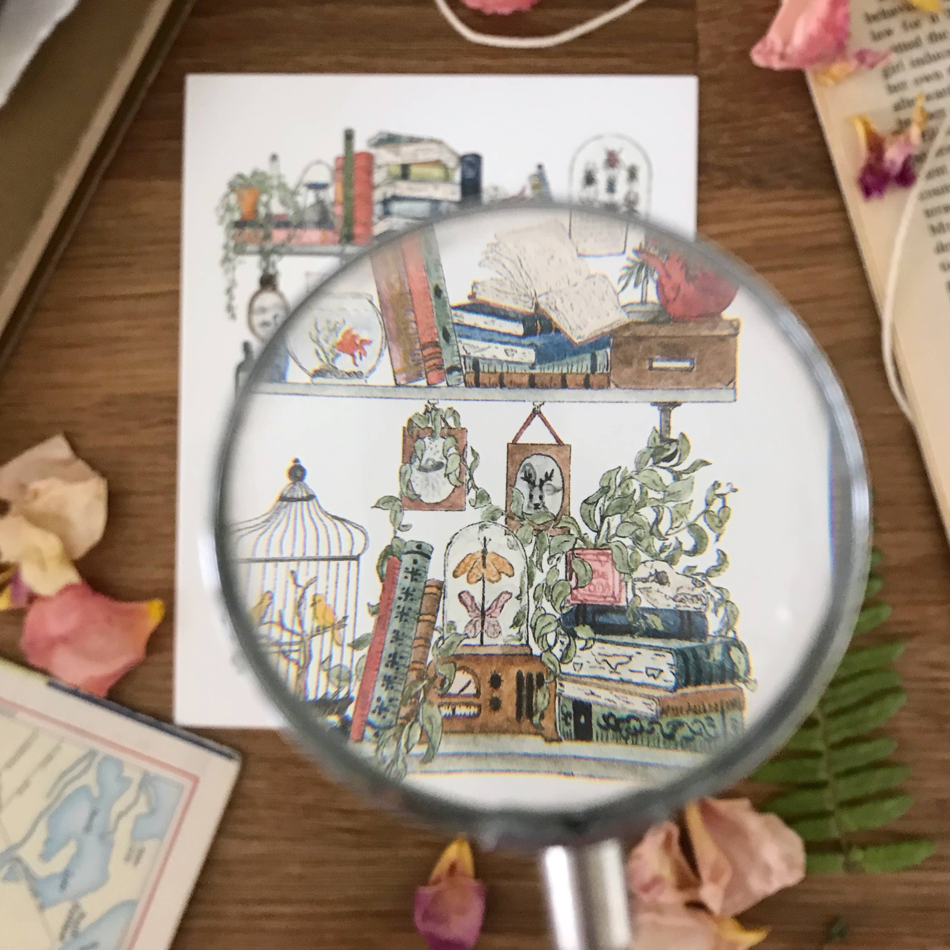 Lizzy Gass - Wholesale Postcard - The Biologist's Shelves Postcard5