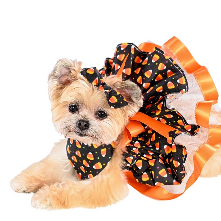 Candy Corn Pet Bandana, Tutu, and Bow for wholesale by Pawsta N Furballs