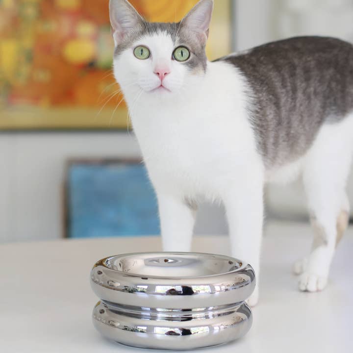 Catenary Home – wholesale Husdjursskål - Katt och hund – Chrome Upphöjd Halo Husdjursskål