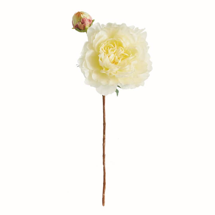 Peony Stem 21", Yellow for wholesale by Napa Home & Garden