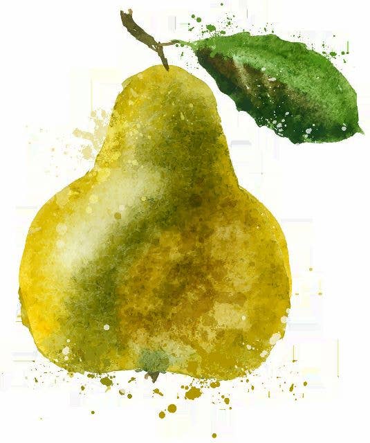 Ox Bow Decor - Wholesale Throw/Decorative Pillow - Floral/Nature/ French Pear Linen Pillow0