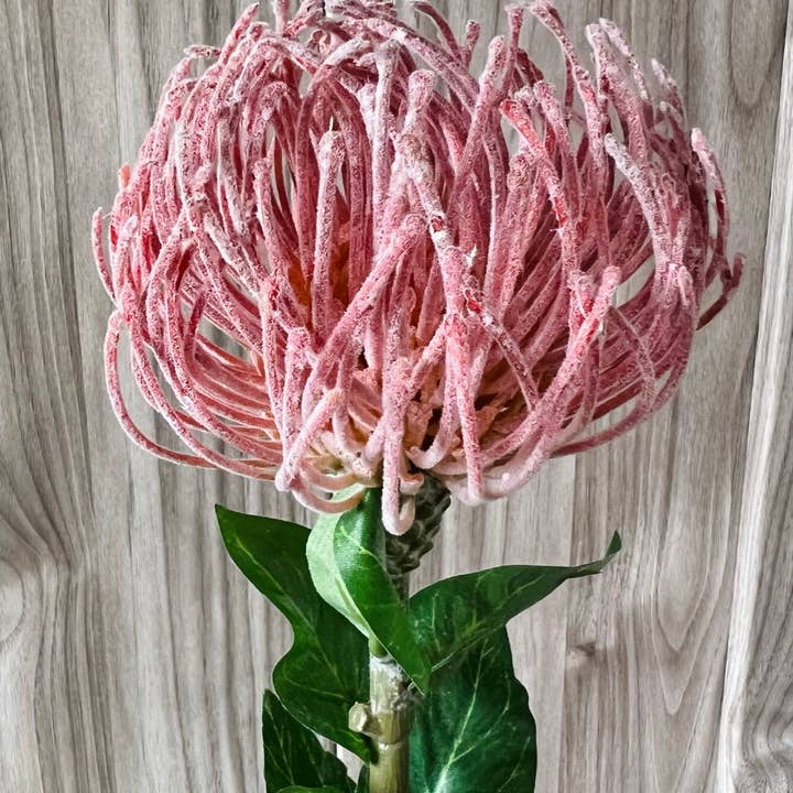 Angel Isabella - Wholesale Artificial Flowers - 29"Large Artificial Saffron Pincushion Needle Protea10