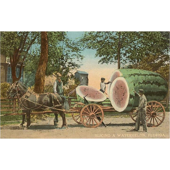 Found Image Press - Vendita all'ingrosso Calamite - Magnete FL-782 Anguria Gigante su Carrello, Florida