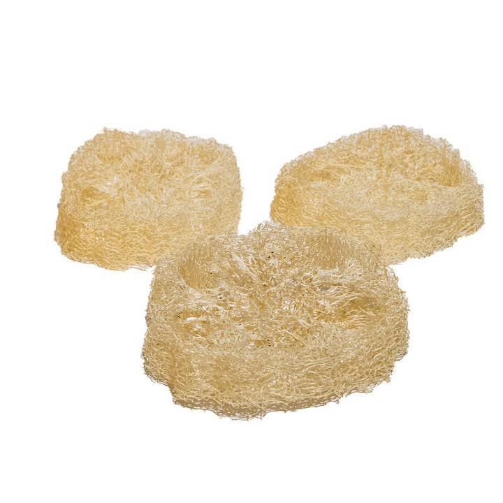 3 Egyptian Loofah rings (3 cm) for wholesale by Appia Luffa