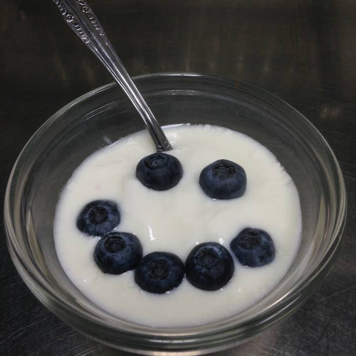 NW Ferments - Wholesale DIY Food Kit - Bulgarian Yogurt Starter Culture 1