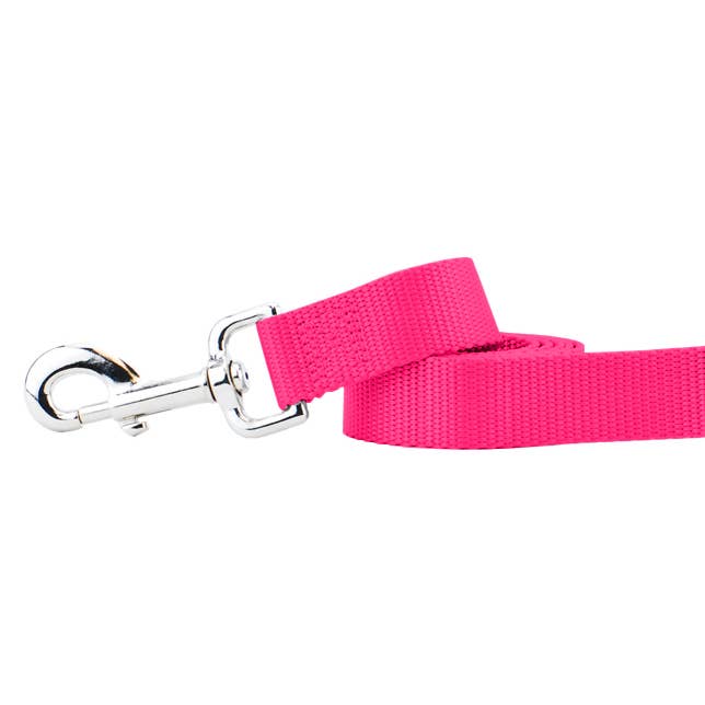 2 Hounds Design - Wholesale Pet Leash - Dog - 5/8" and 1" Premium Nylon Dog Leash - 6'2