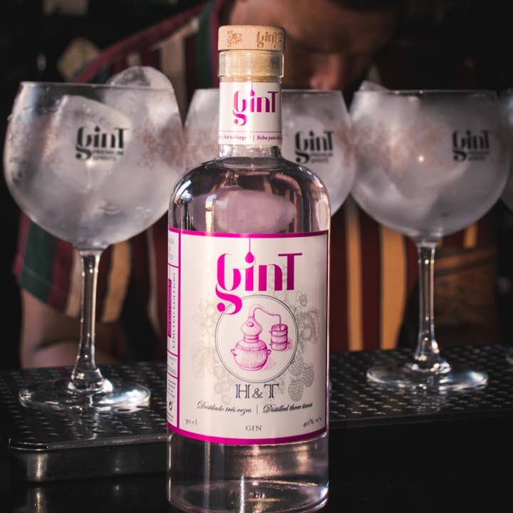 gINT Heads & Tails - Wild Fruits Edition - 700ml - 40% for wholesale by GinT - Premium Spirits