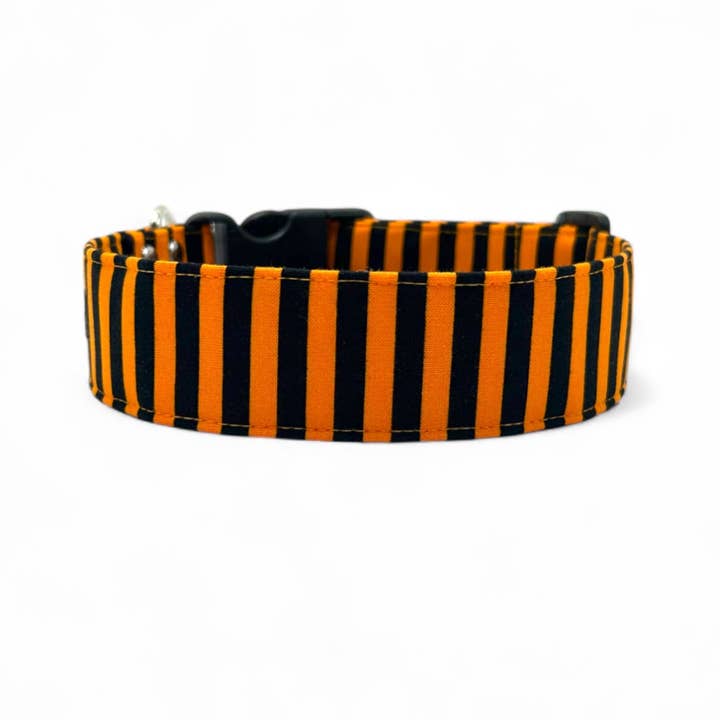 Halloween Dog Collar - Witches Brew for wholesale by Paper Chasing Collars Dog Accessories