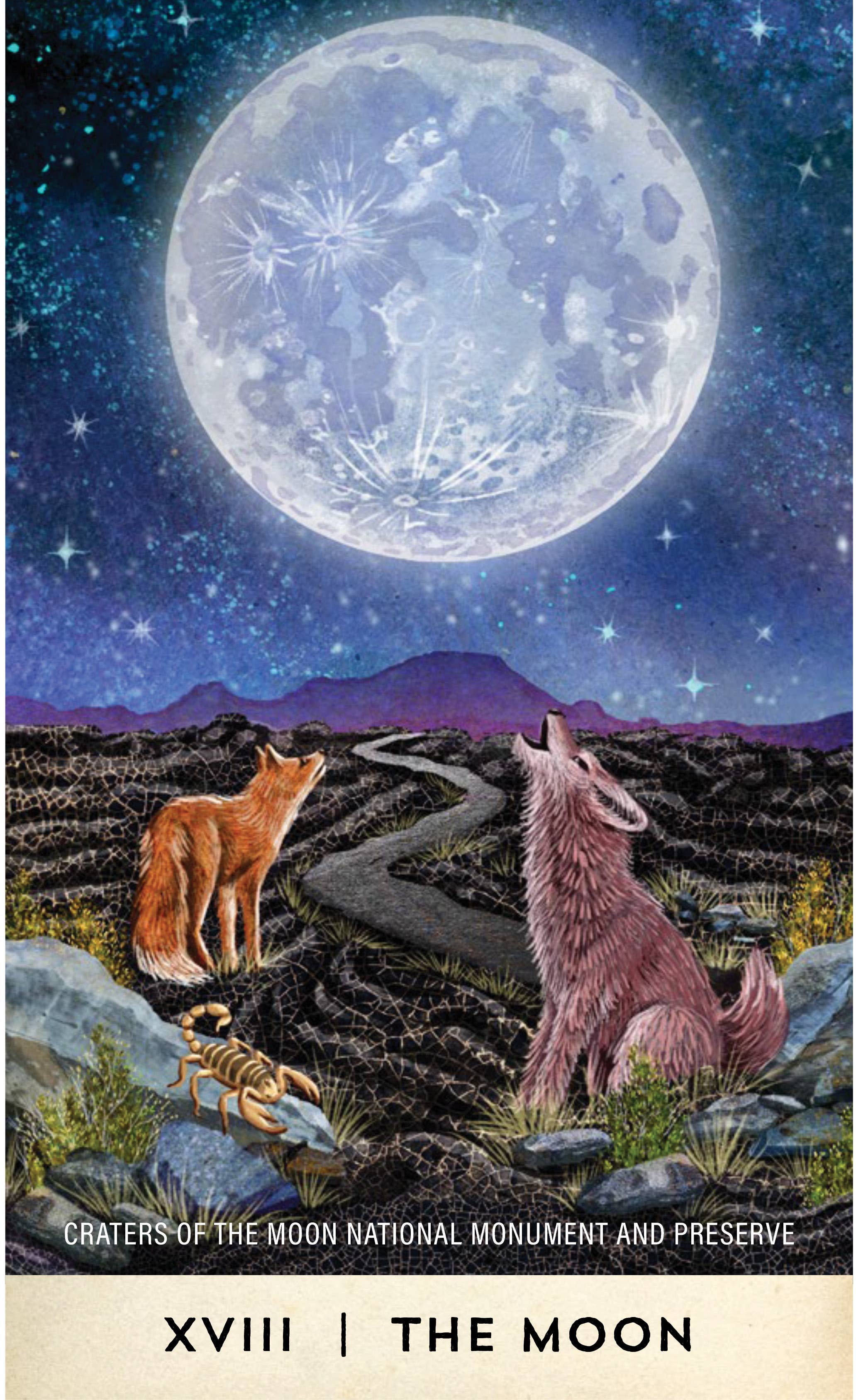 Mountaineers Books - Wholesale Tarotkaarten - Tarot voor het Grote Buiten6