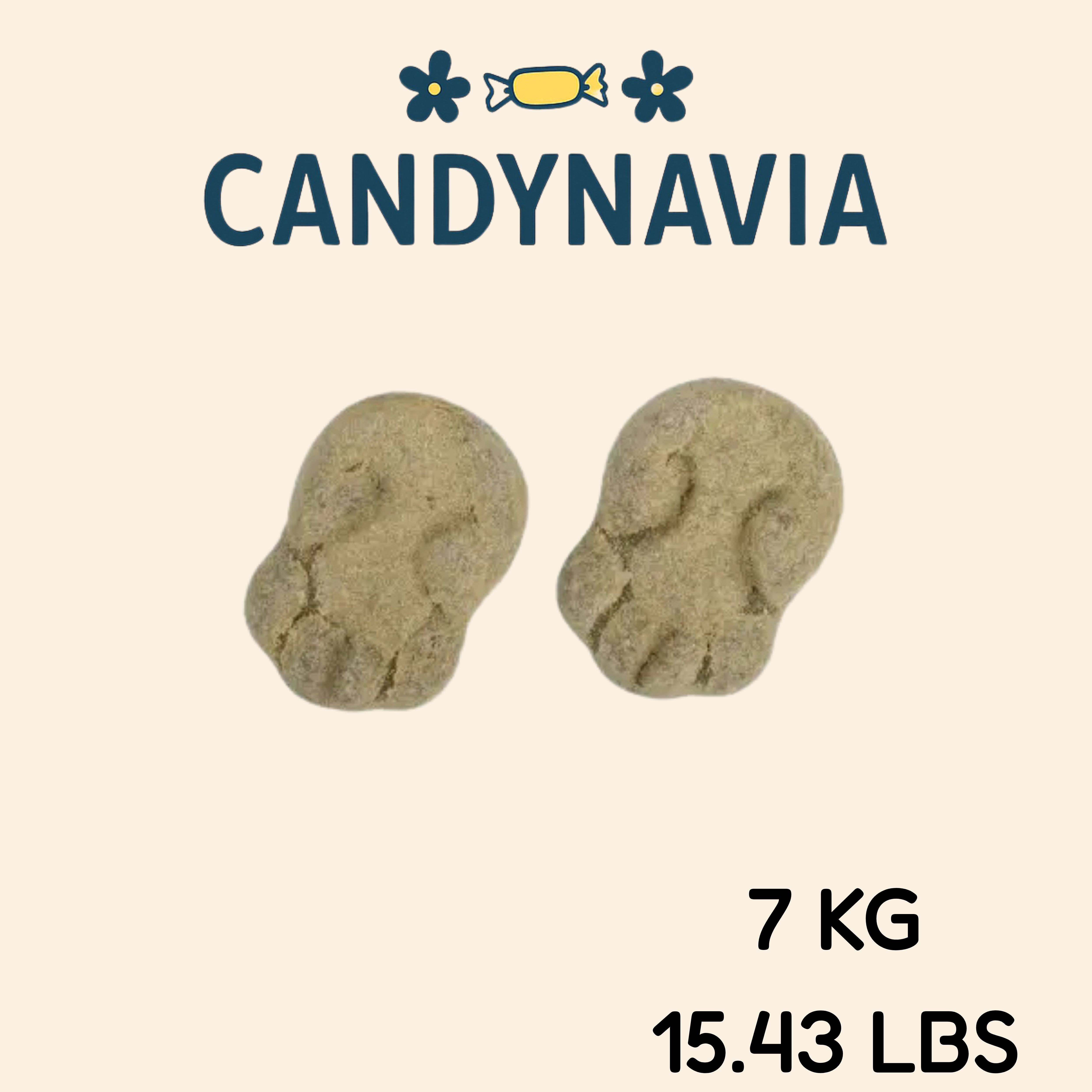 Candynavia - Wholesale Gummy - Swedish Candy - Grahn's Powder-Filled Toad1